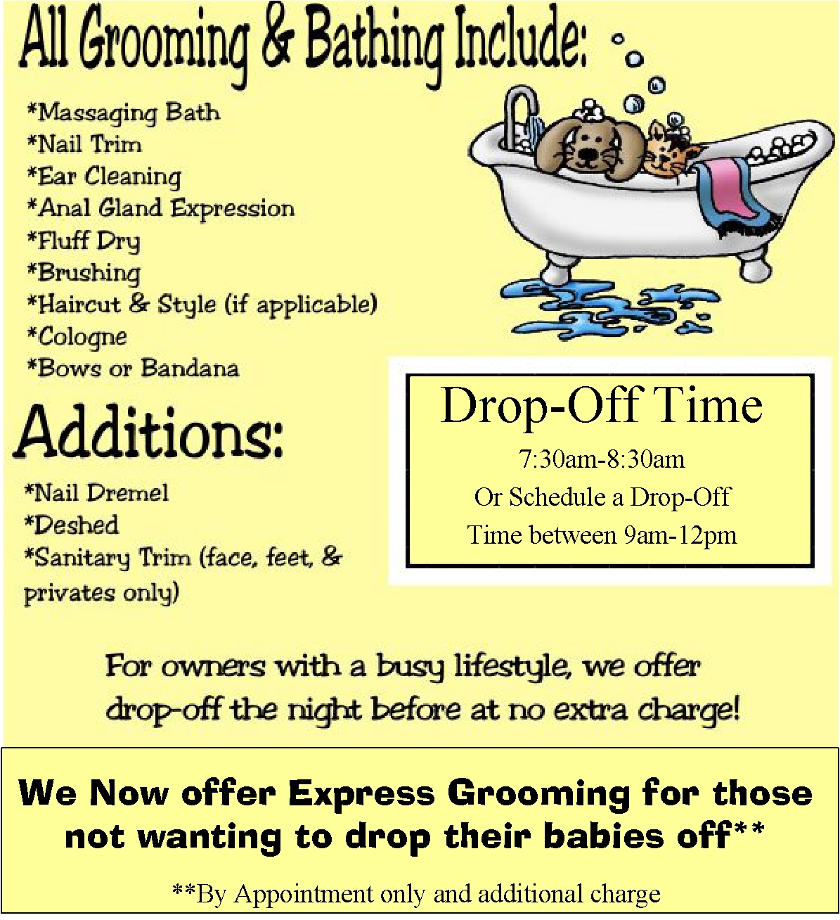 Pet Grooming In Virginia Beach, VA Abbey Animal Hospital