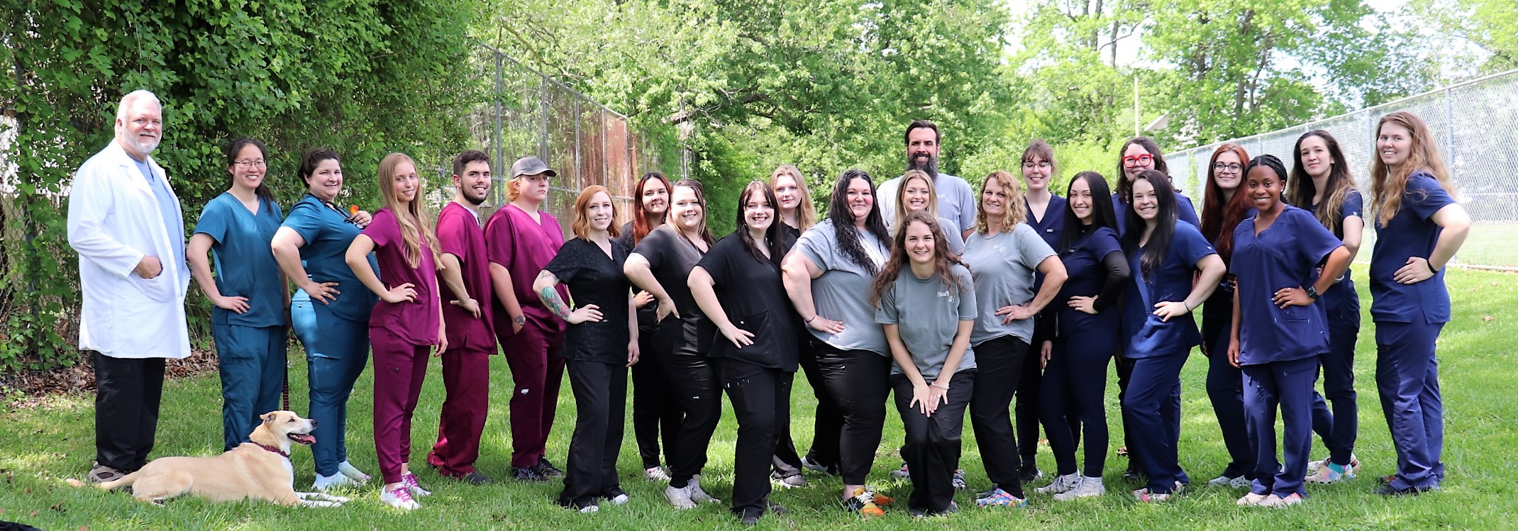 Veterinarian in Virginia Beach, VA